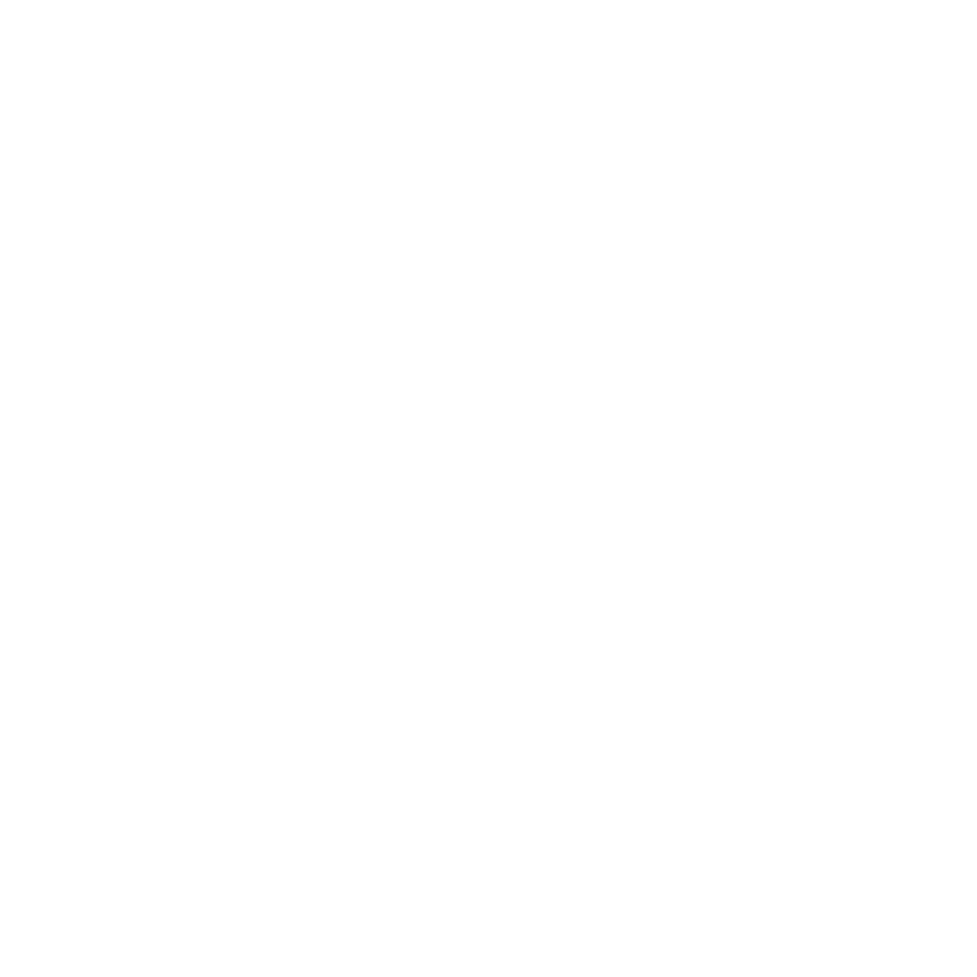 モーション画像の上にのるROGUEのロゴ